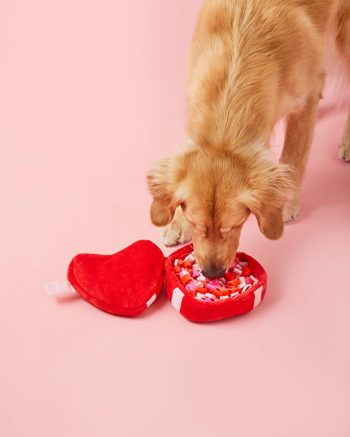 Dog Toy Be My Valentine Interactive Snuffle Heart Box