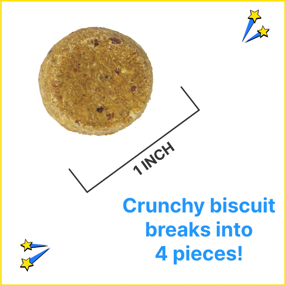 Chippin - Antioxidant (Banana-Cricket-Blueberry) Dog Treat