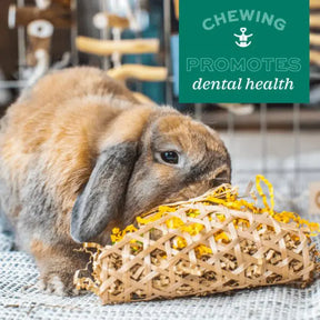 Enriched Life Celebration Party Pack Small Animal Chews by Oxbow