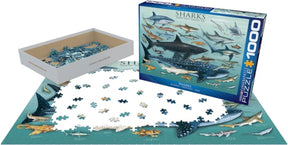 Puzzle Sharks