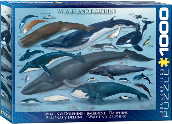 Puzzle Whales & Dolphins