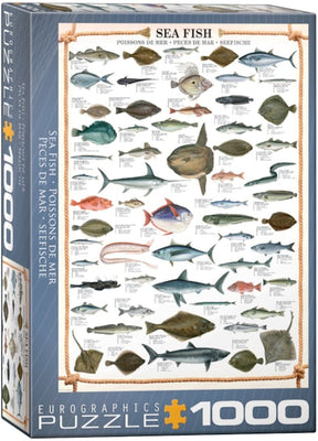 Puzzle Sea Fish