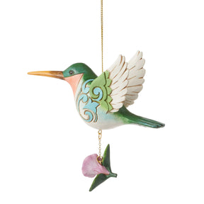 Ornament Hummingbird