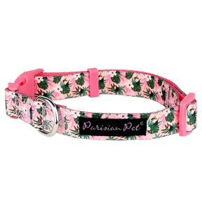 Dog Collar Tropical Toucan