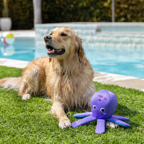 Petshop by Fringe Studio - Bubbles Floating Dog Toy