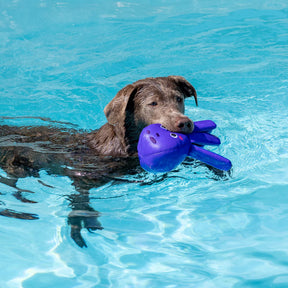 Petshop by Fringe Studio - Bubbles Floating Dog Toy