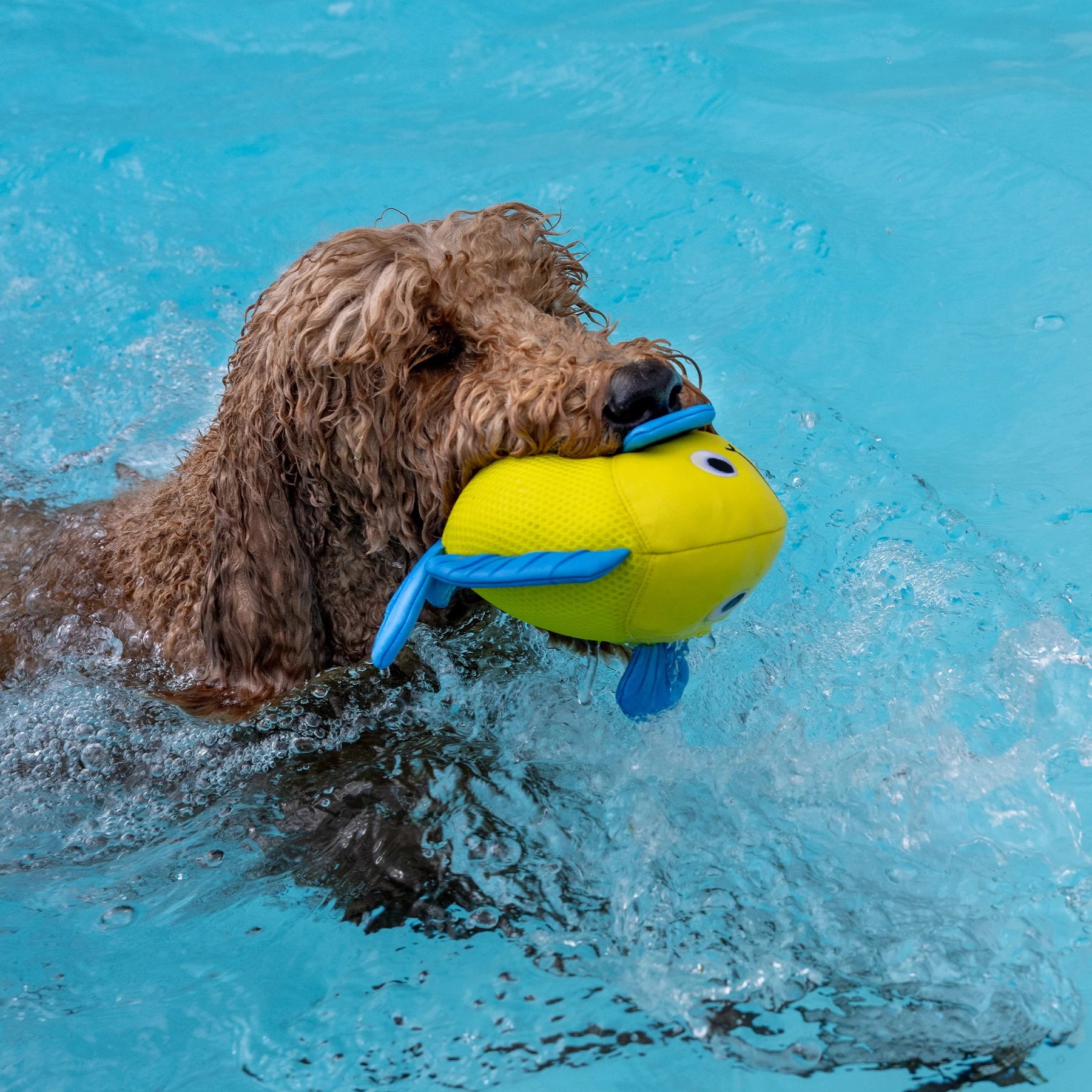 Petshop by Fringe Studio - Dog Toy Pipsqueak Floating