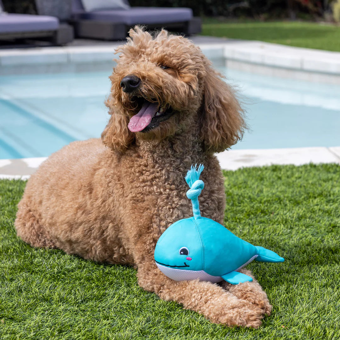 Petshop by Fringe Studio - Splashy Floating Dog Toy