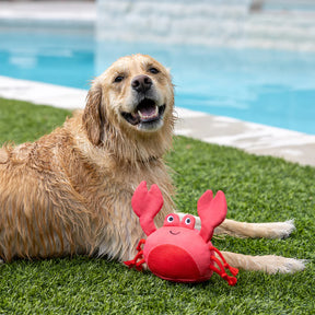 Petshop by Fringe Studio - Claws Floating Dog Toy