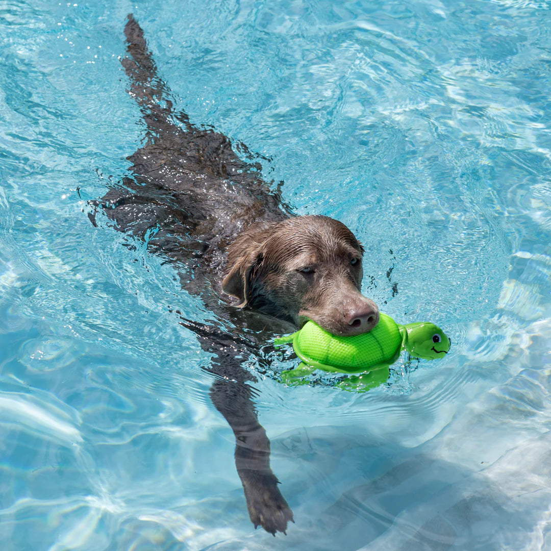 Petshop by Fringe Studio - Snappy Floating Dog Toy