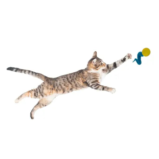 Dezi & Roo - Cat Toy WigglyPing