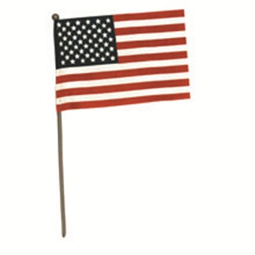 USA Hand Flag