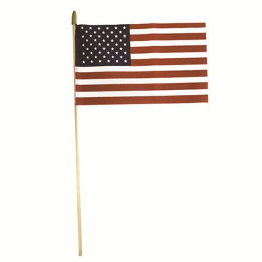 USA Hand Flag