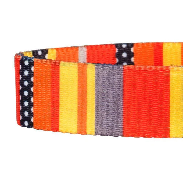 Nautical Flag Dog Collar