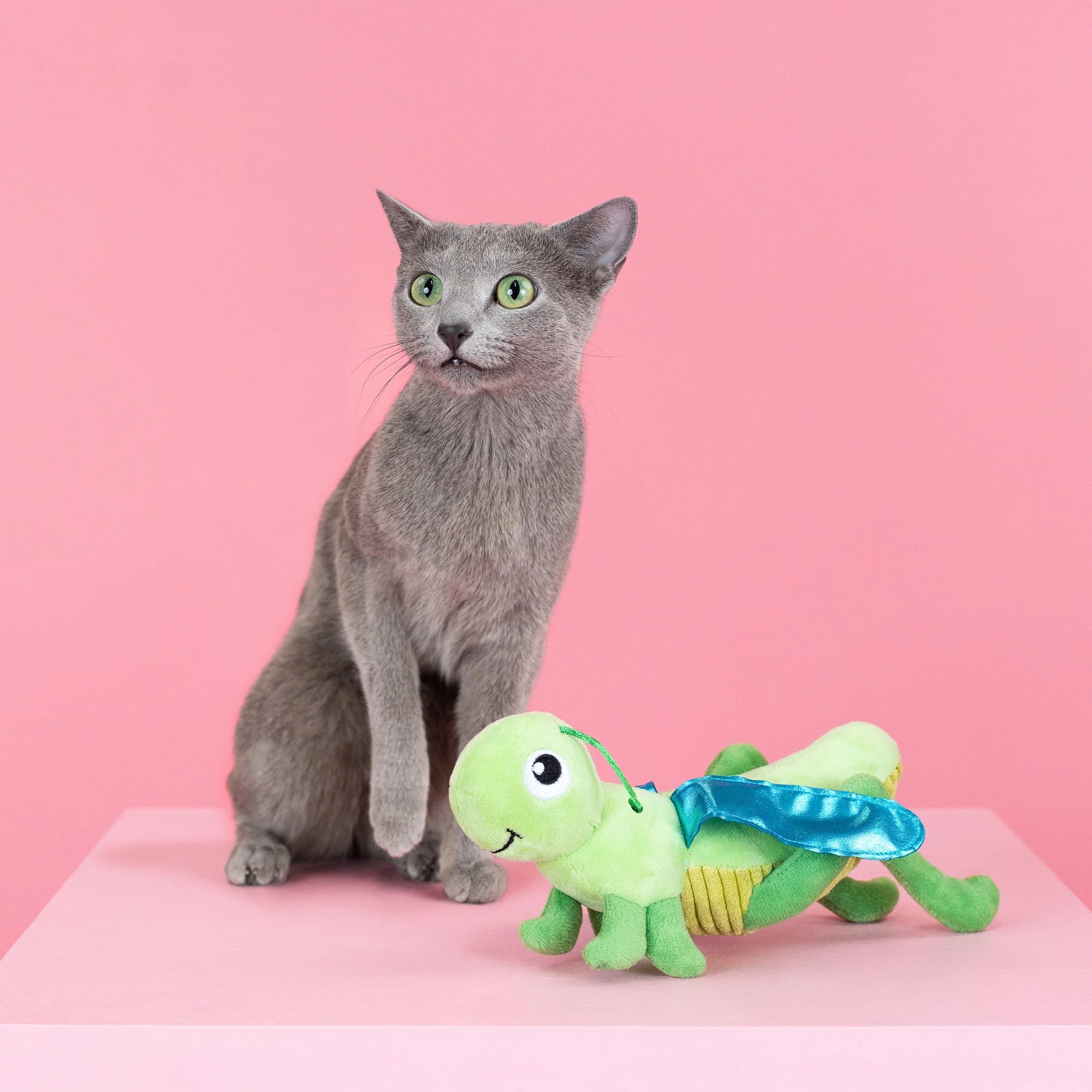 Petshop by Fringe Studio - Cat Toy Hop on By