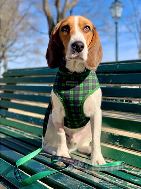 Freedom Harness Scottish (Green/Blue)