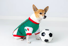 Dog Jersey Team Mexico