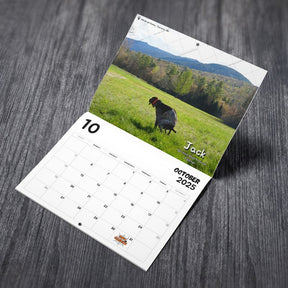 Calendar 2025 -Dogs Pooping in Beautiful Places