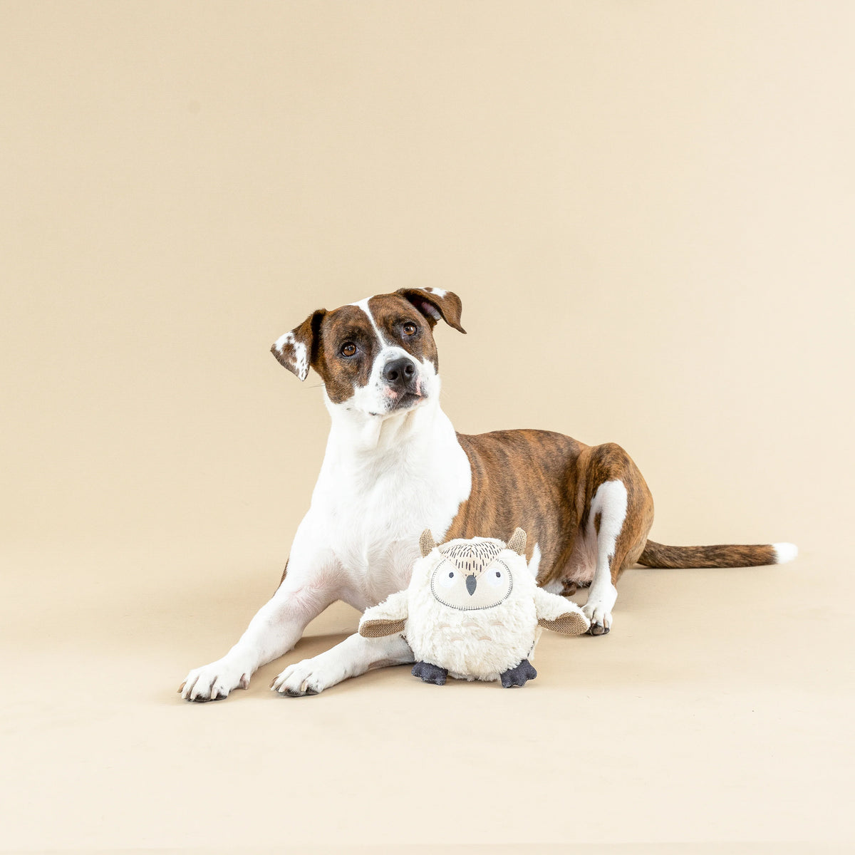 Petshop by Fringe Studio - Dog Toy Whoooo's There