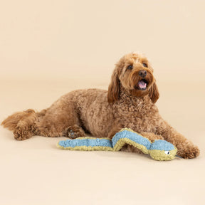 Petshop by Fringe Studio - Dog Toy Don't Get To Wrapped Up