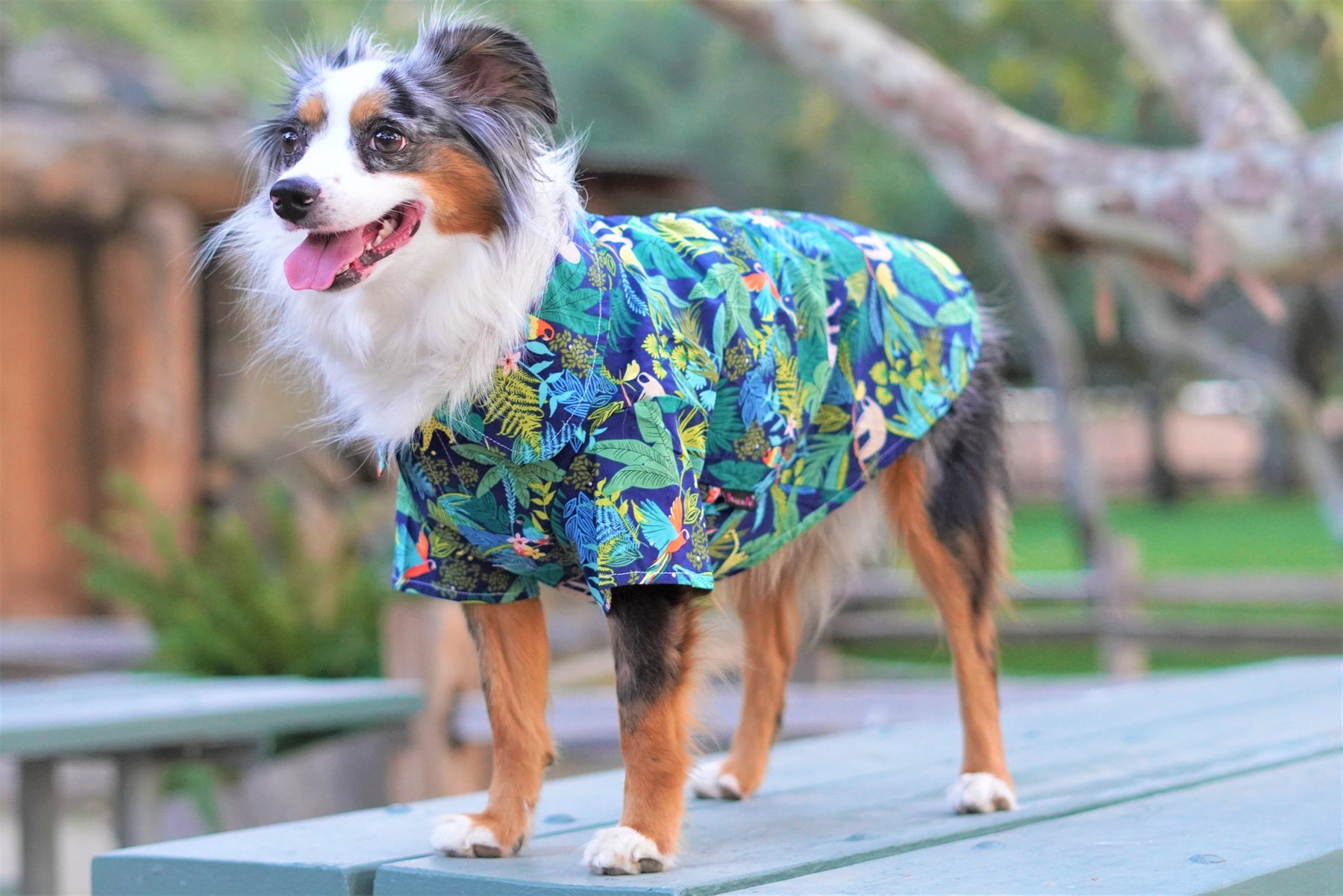 Dog T-Shirt Amazonia Camp