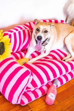 Dog Bed Sofa Striped Pretty Pink