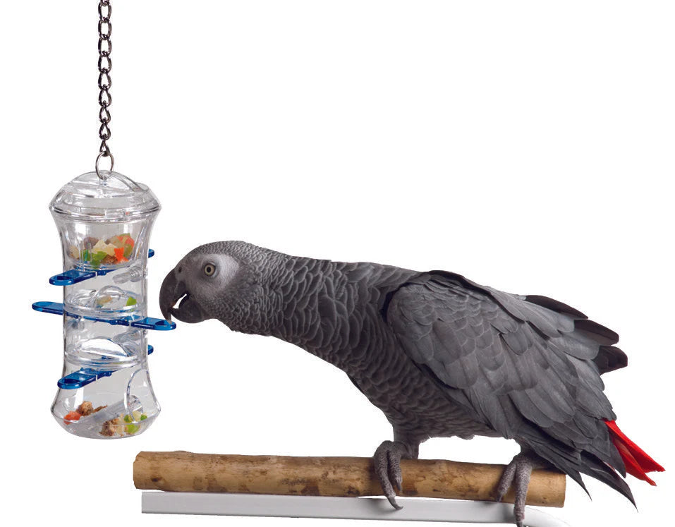 Caitec - Bird Toy Push & Pull