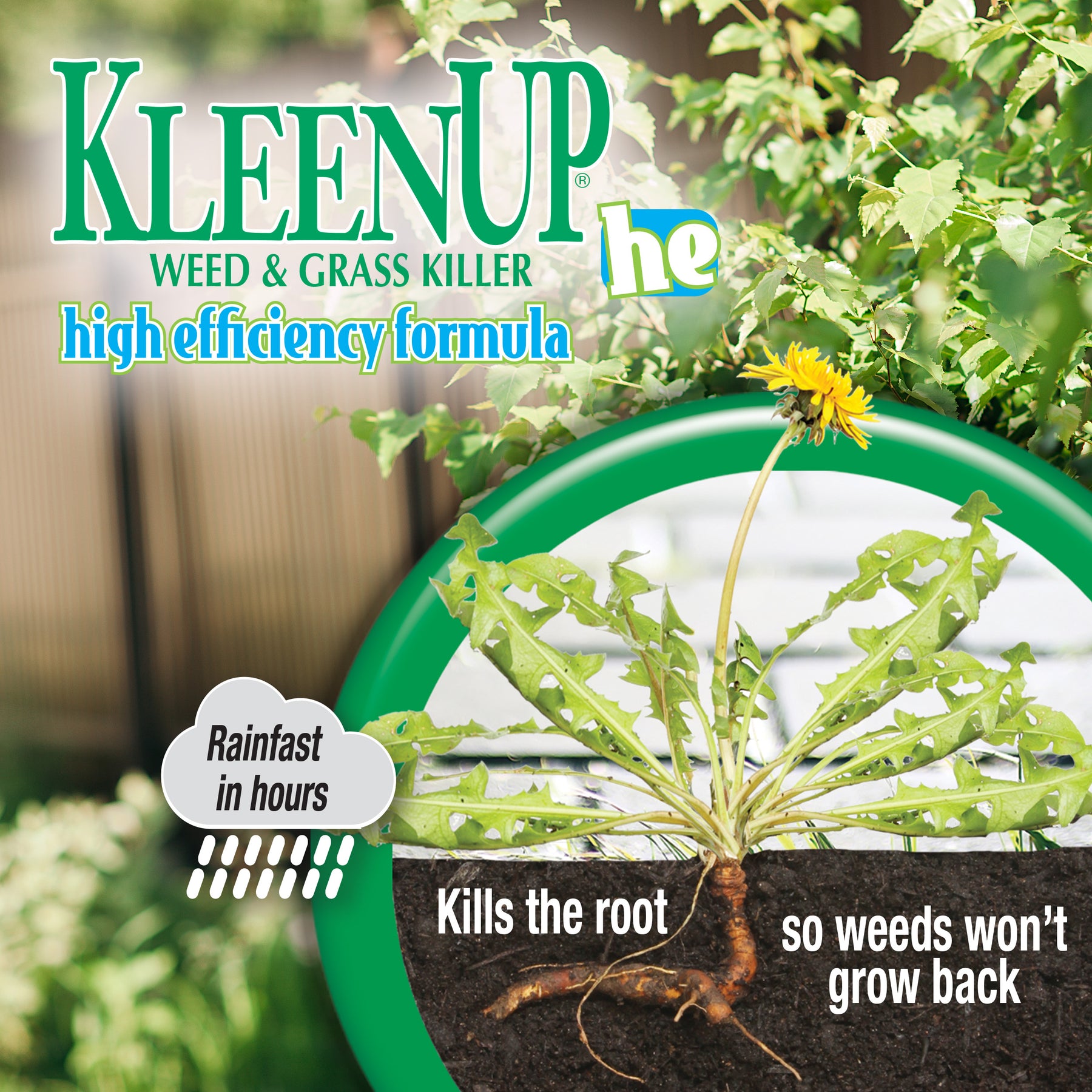 Bonide - KleenUp® “HE” High Efficiency Weed & Grass Killer with Wand