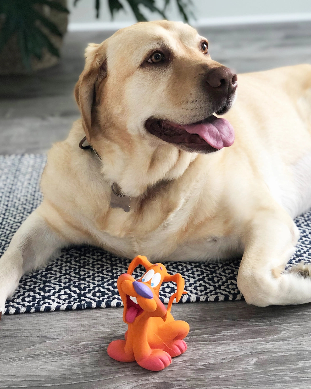 Squeaky Retro Smiley Dog Toy