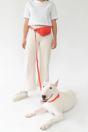 Springer Sling Bag + Leash