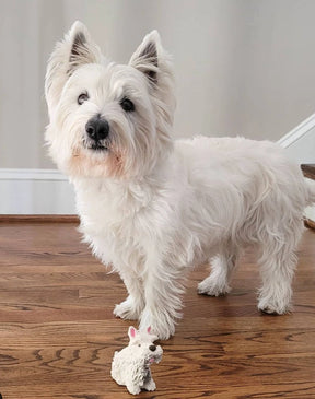 Dog Toy Westie Squeaky