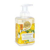 Michel Design Works Foaming Hand Soap Garden Scents