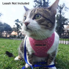 Freedom Harness Pink Dot