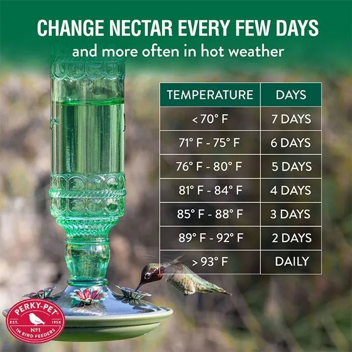 Perky Pet Hummingbird Feeder