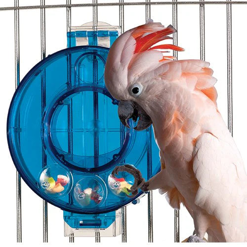 Caitec - Bird Toy Mastermind Circle