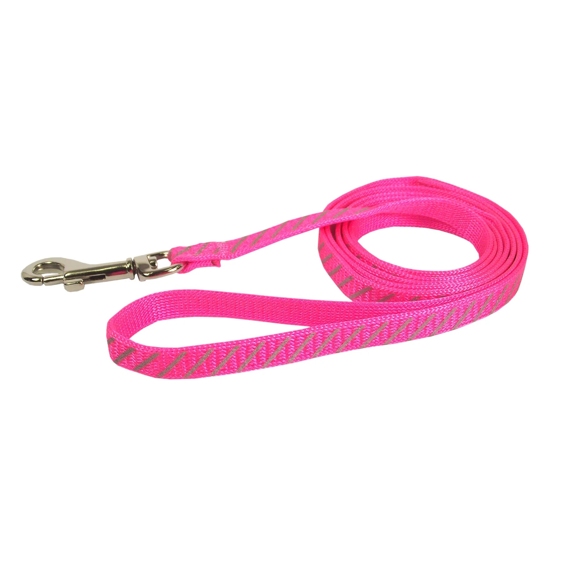 Cat Lead Nylon Reflective 3/8"x4'