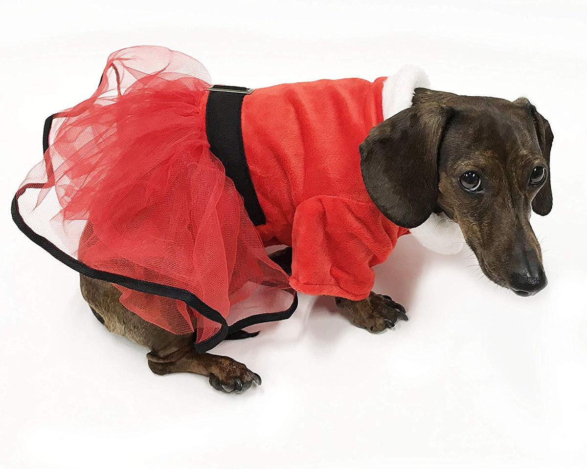 Midlee - Mrs. Santa Tutu Dog Costume