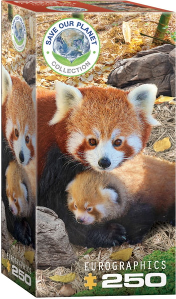 Puzzle Red Pandas