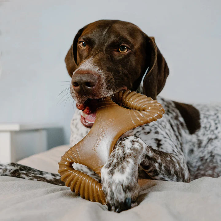 Benebone - Dental Nylon Chew Toy Bacon