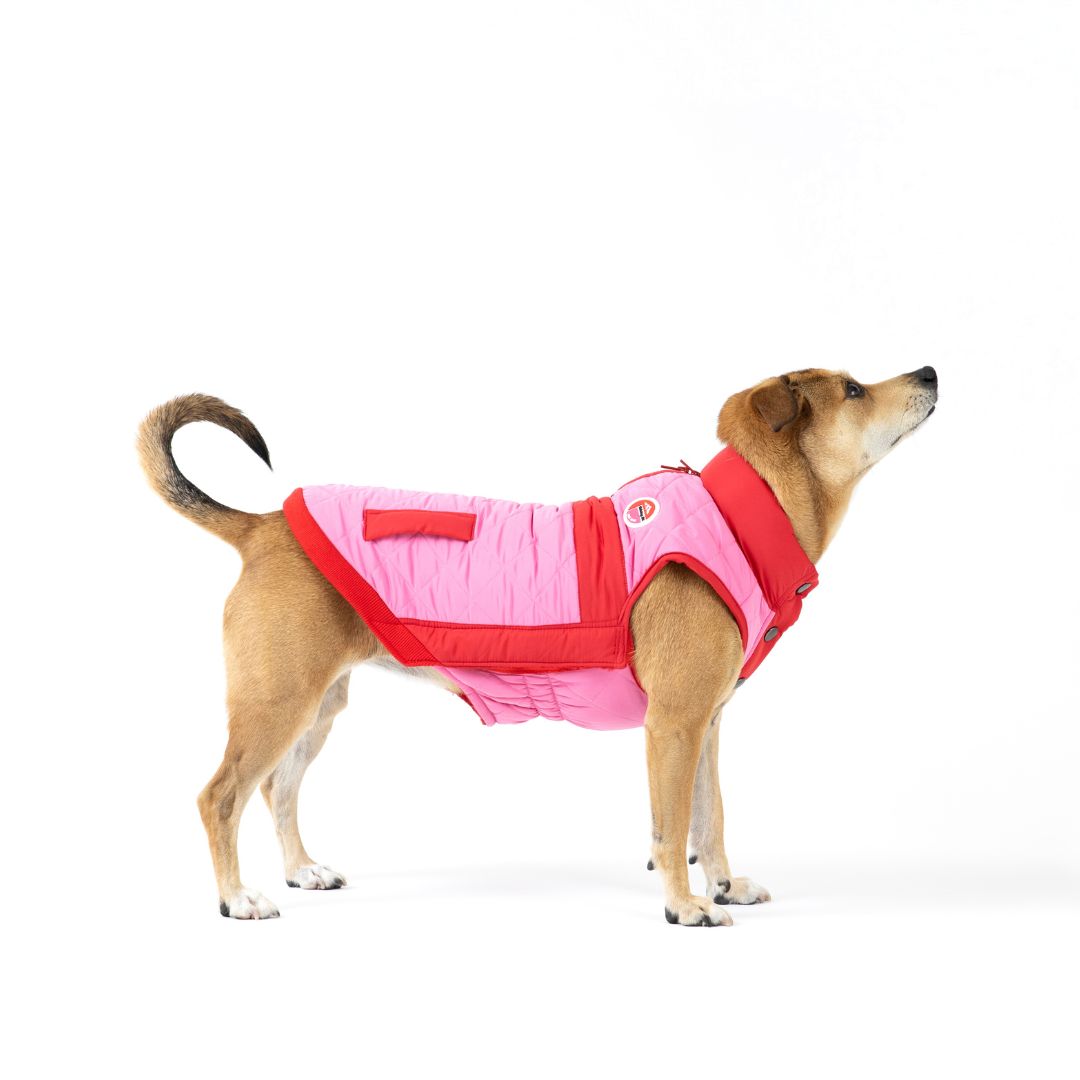 Fabdog Vest Fab Ski Quilted