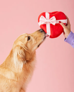 Dog Toy Be My Valentine Interactive Snuffle Heart Box