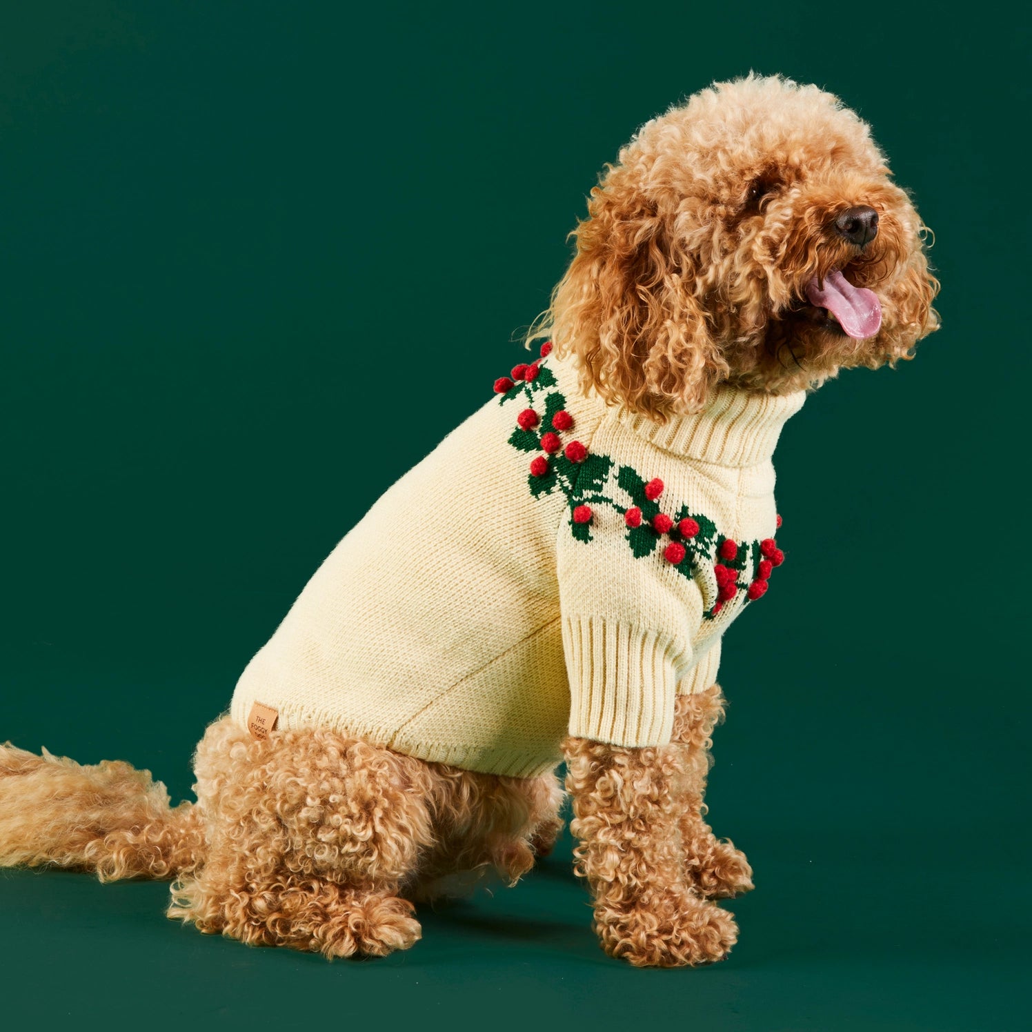 Dog Sweater Holly Bobble