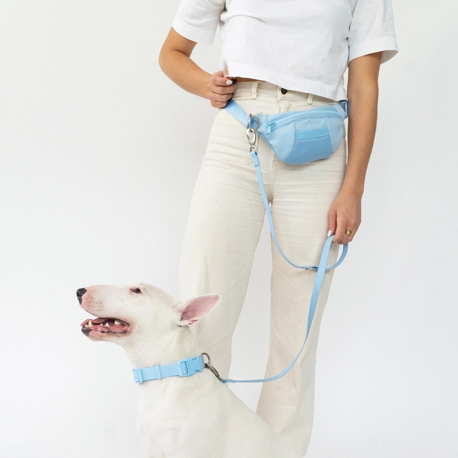 Springer Sling Bag + Leash