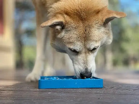 Enrichment Dog Tray Lick Mat - Waiting Dogs Design