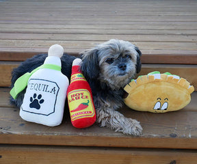 Fiesta Pack - Plush Dog Toys