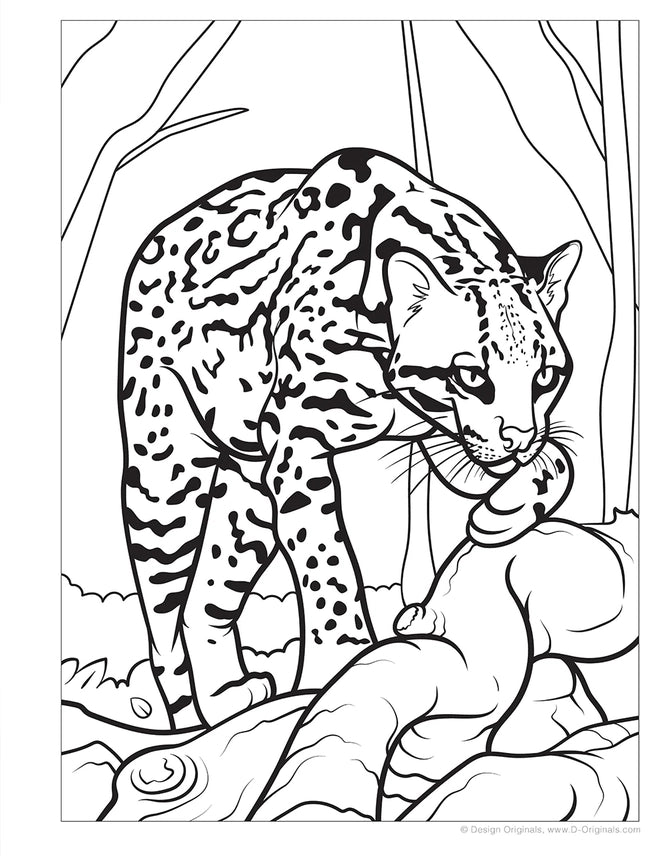 Coloring Book - Great Amazon & Rainforest