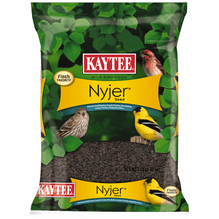 Kaytee Nyjer Wild Bird Seed