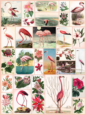 New York Puzzle Co. -  Puzzle Flamingos & Flowers