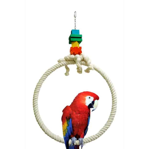 Hoop Cotton Ring Bird Toy