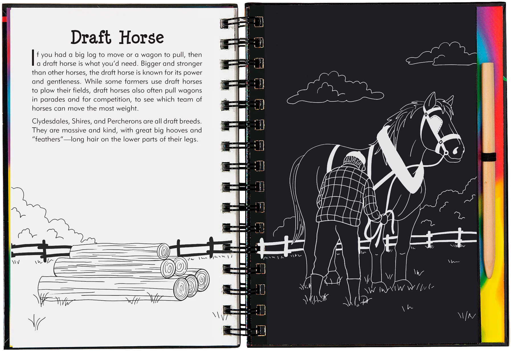 Scratch & Sketch Horses